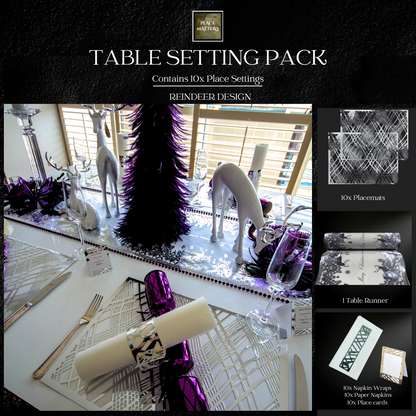 Silver Christmas Table Setting Pack with Silver Table Runner - Place Matters