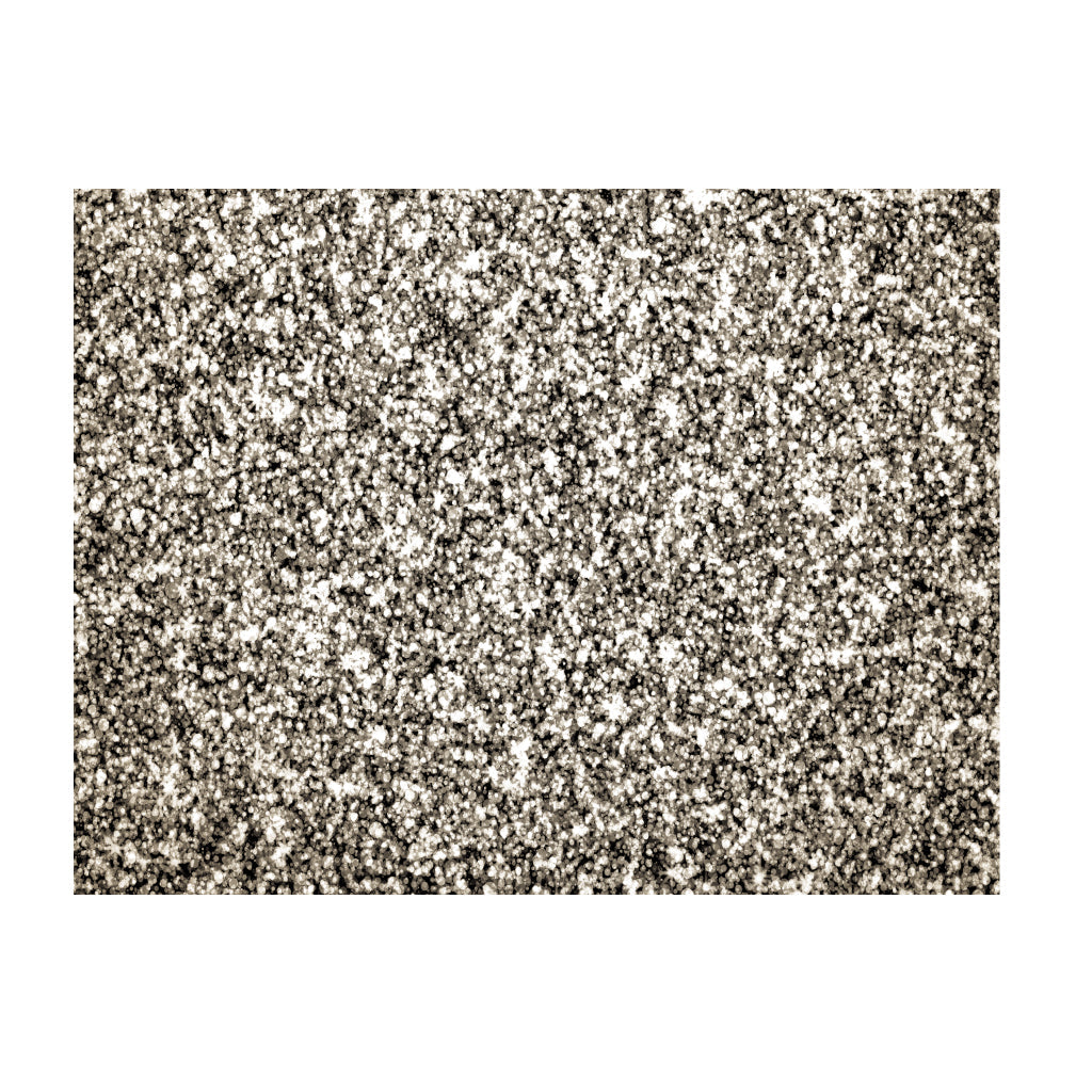 Silver Placemats (Glitter) Pack of 20 (Rectangle) - Place Matters
